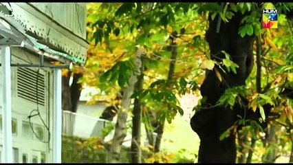 المسلسل الباكستاني Durr e Shehwar الحلقة 6 مترجمة بالعربية | المسلسل الباكستاني الدر والشحور الحلقة 6 مترجمة بالعربية