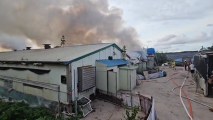 전북 고창 돼지우리에서 불...돼지 850마리 폐사 / YTN