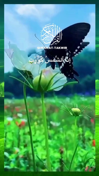 Surah At-Takwir World Most Beauiftul Recitation EP#06