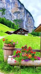 Beautiful Nature Of Switzerland Beautiful Swiss Nature Relaxing Music Video #short 3