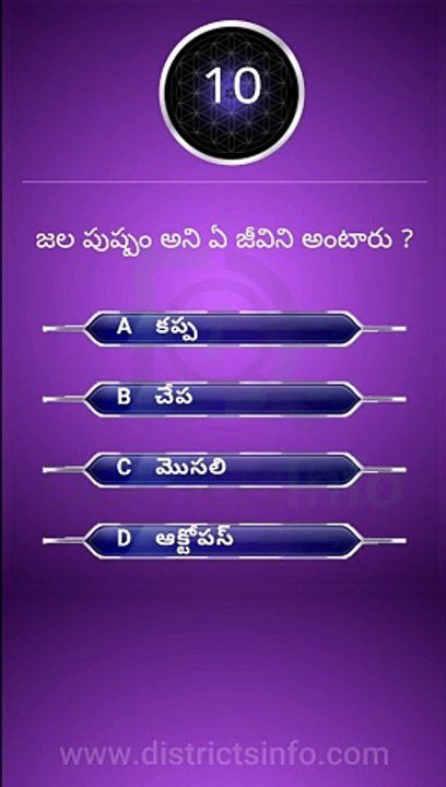 Interesting Questions Telugu