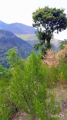 Panyali 5 mil zamnabad muzaffarabad Azad Kashmir