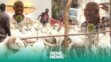 "Wakhaalé kharou Tabaski", le prix moyen du mouton à 9 jours de la fête