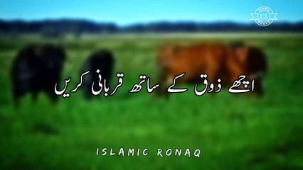 Qurbani Ka Gosht status bayanPeer Ajmal Raza Qadri BayanEmotional Bayan