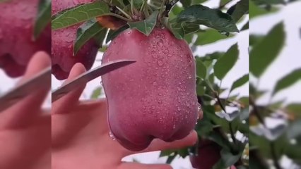 Why we people cry? Hm log q roty ha?