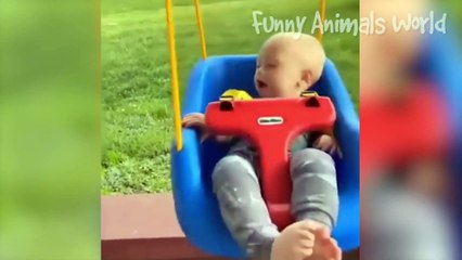 Hilarious Cat & Dog Videos Compilation 🐶😺 | Best Funny Animal Clips 1080p