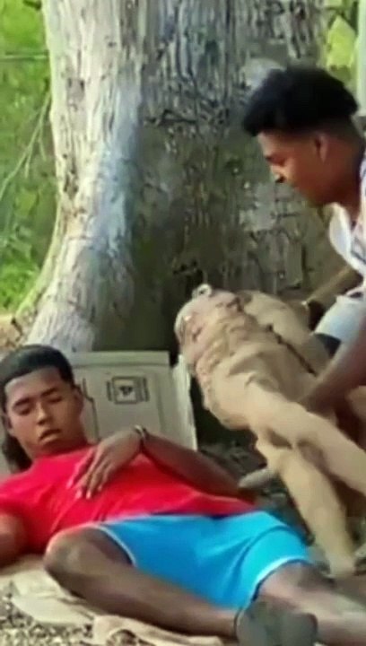 Most Funny video #prank #shorts # trending
