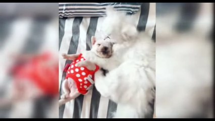 Daily routine life vlog