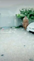 2024-06-07-232634362