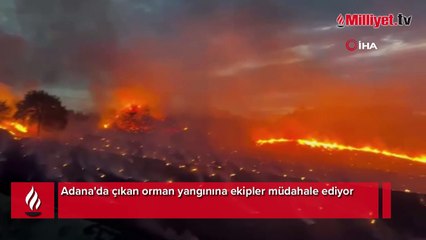 Adana'da korkutan orman yangını! Ekipler bölgede