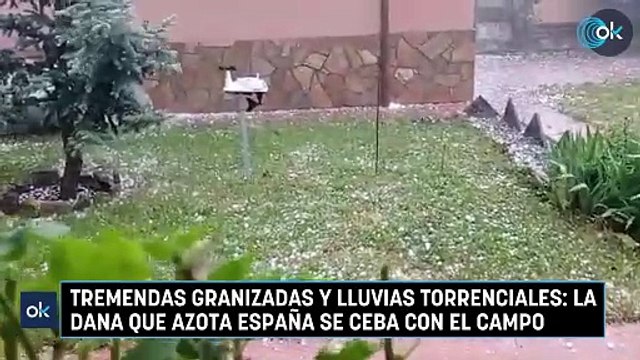 Tremendas granizadas y lluvias torrenciales: la DANA que azota España se ceba con el campo