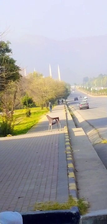 Faisal Masjid Islambad Beautiful mosque #mosque #viral #nature