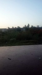 My channel comedy and entertainment