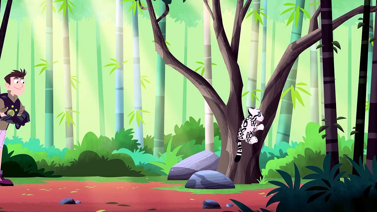Cats that Swim and Dogs that Climb | Clouded Leopards and Raccoon Dogs