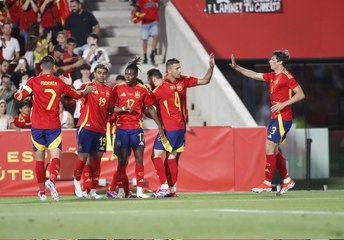 AR FRY ESP NIR 3MHL 240608