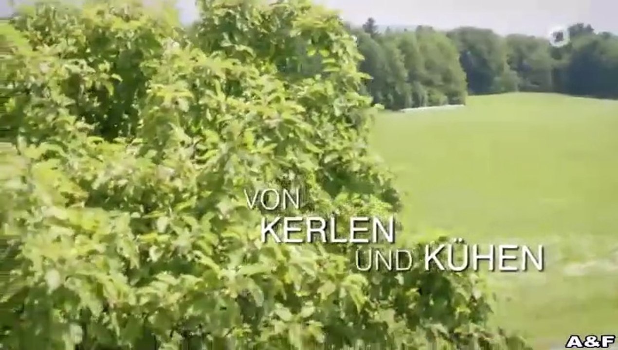 Utta Danella -27- Von Kerlen und Kühen