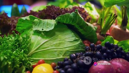 5 Irrefutable  Reasons to Embrace a Plant-Based Diet Today