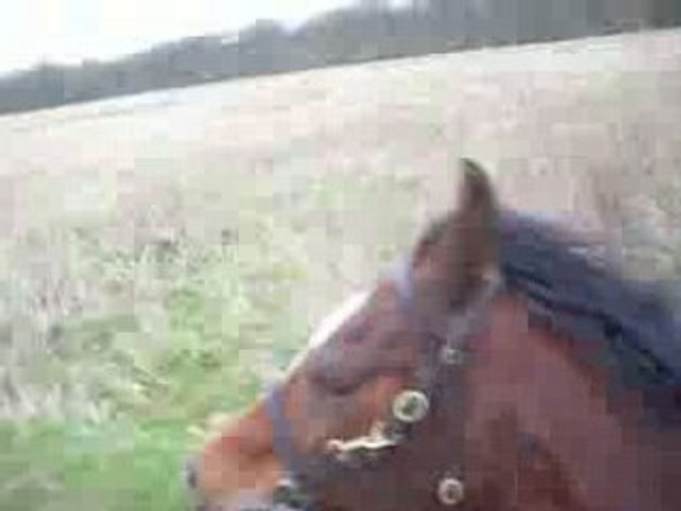 Galop Itak avril 08