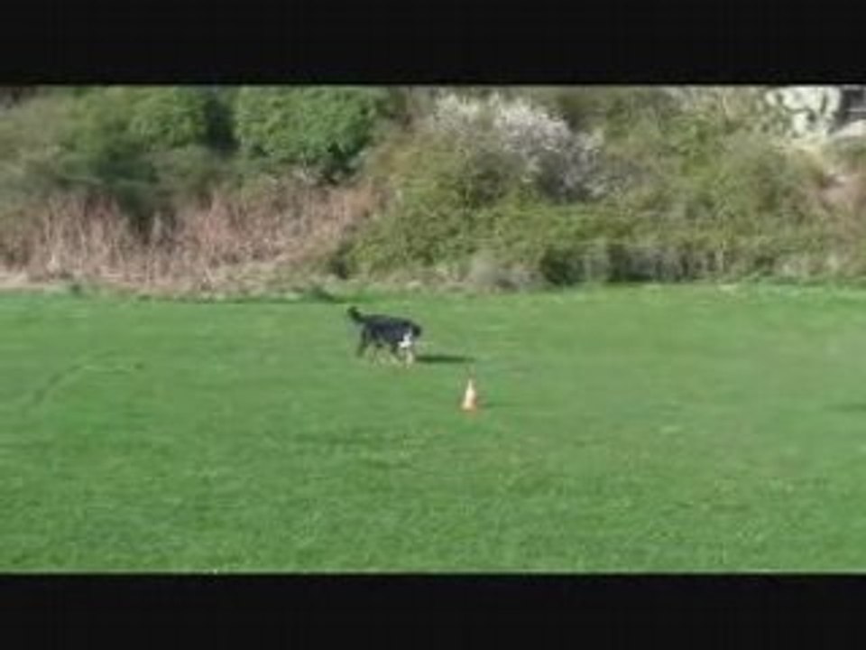 Entrainement clicker otane