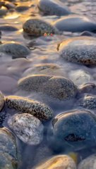 Nature - Good Morning - Peace️