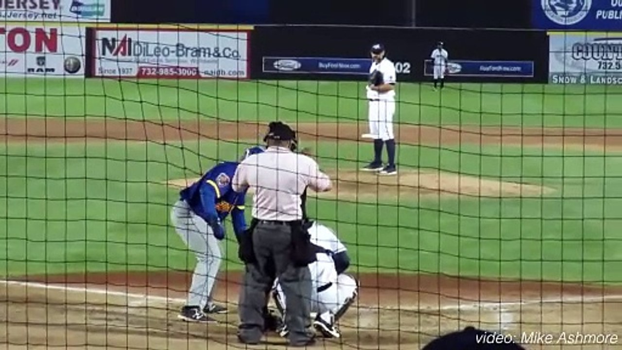 Bear Saves Bird From Drowning