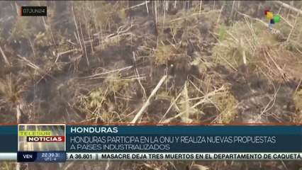 Honduras exige que instituciones oficiales protejan los bosques