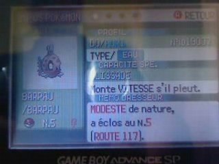 Barpau shiny : éclosion par hasard.