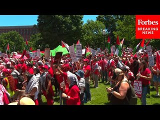 WATCH: Gaza People's Red Line Protestors Gather Outside White House