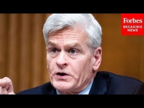 Bill Cassidy Asks How Mental Health Support For Veterans' Caregivers Can Be Expanded & Improved