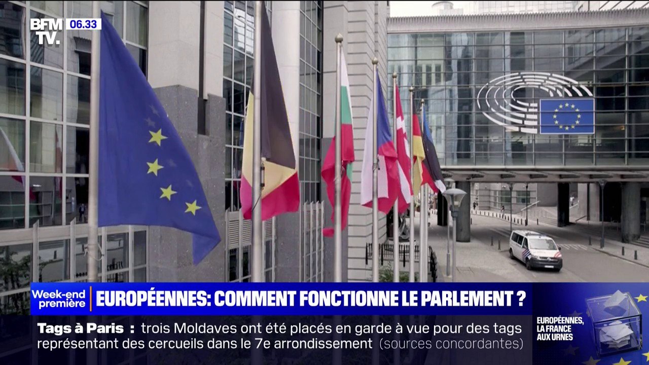 Élections européennes: comment fonctionne le Parlement européen ?