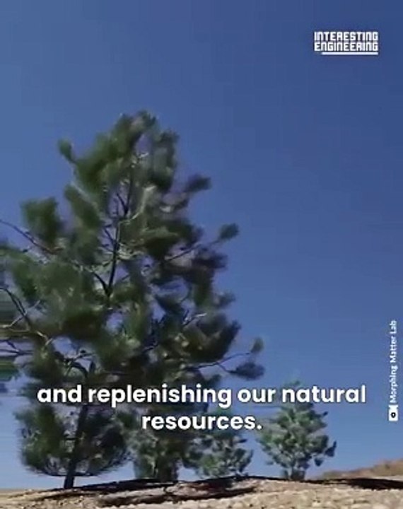 Reforestation Revolution Tiny Robots Mimicking Nature #shorts #shortvideo #video #virals #videoviral #innovationhub