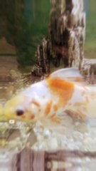 هذا خلق الله