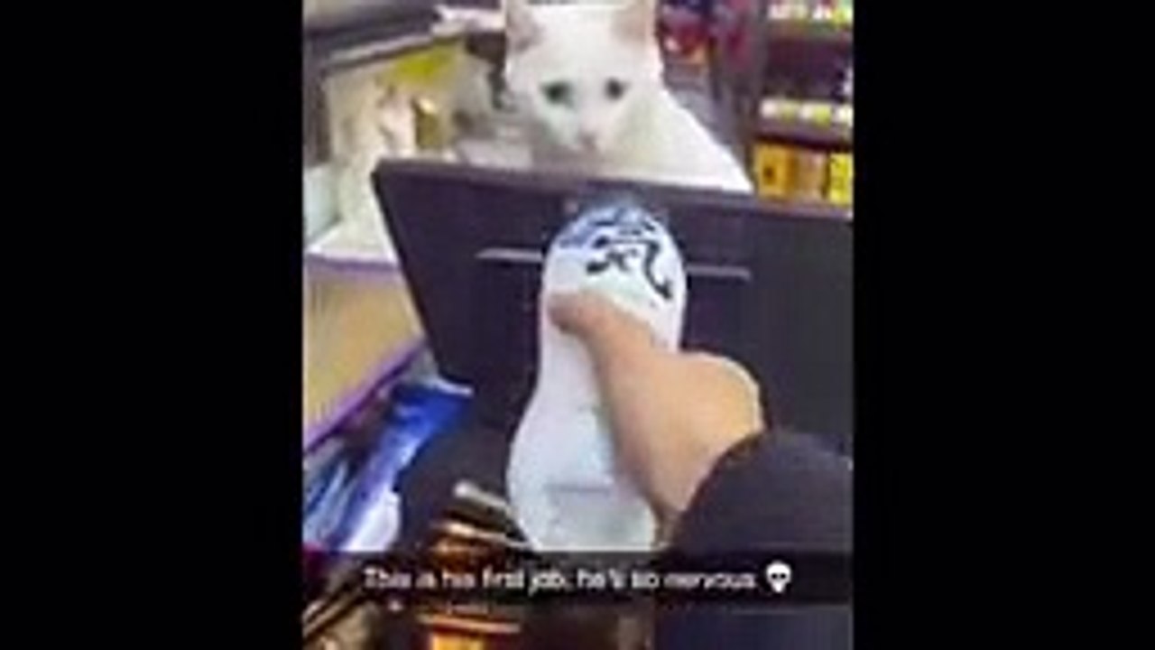 Funny video viral 2024