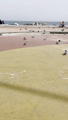 صباح الخير يا احلى متابعين