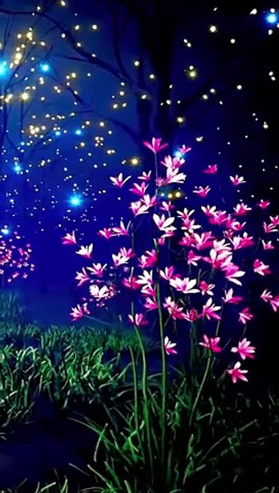 Nature Sounds Flowers