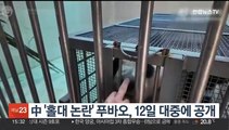 '홀대 논란' 푸바오, 중국 간 지 두 달 만에 12일 공개