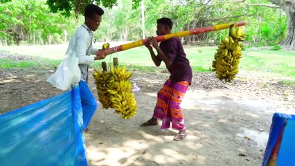 Don`t Miss Exclusively Monkey Funniest Comedy Video  Viral Funny Video