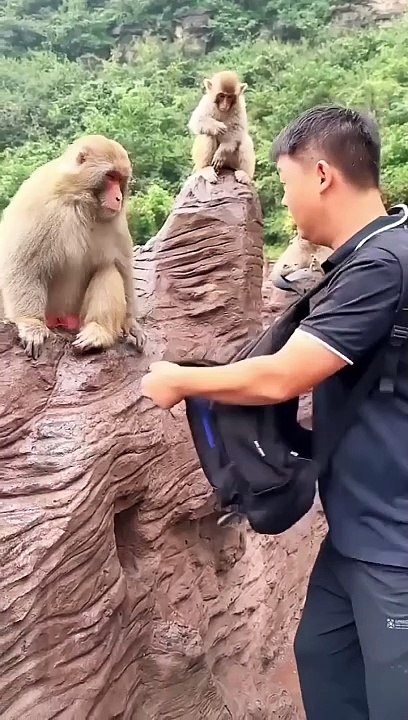 The Monkey King, the showman, is such a vicious monkey that he becomes a spirit. Please do not imit