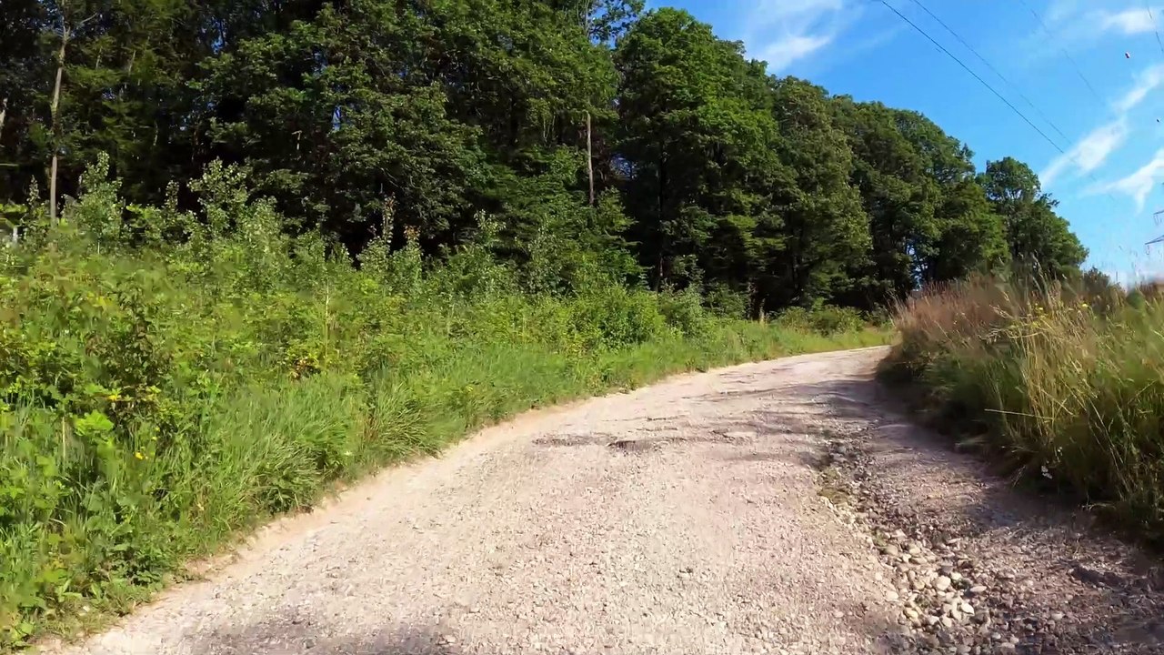 Bis zur Leischinggasse: MTB Lainzer Tiergarten-Strecke (15)