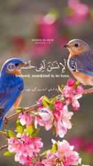 Beautiful recitation of Quran surah Al Asr