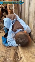 मासूम बच्चे की दुख भरी कहानी   Bacche Ki Dukh Bhari kahani #viral #shorts