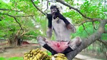 Don_t Miss Exclusively Monkey Funniest Comedy Video  Viral Funny Video 2024 By Our Fun Tv