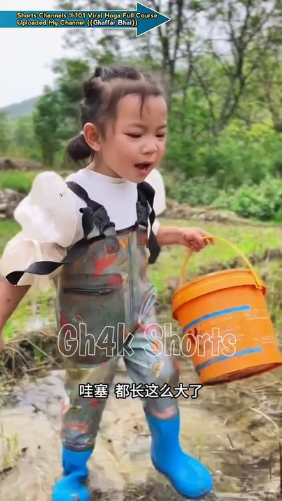 माँ इधर देखो मुझे क्या मिला  Maa idhar Dekho Mujhe Kya Mila #viral #shorts