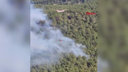 Antalya'nın Manavgat ilçesinde orman yangını