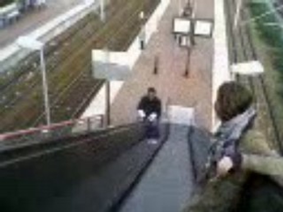 Steeven