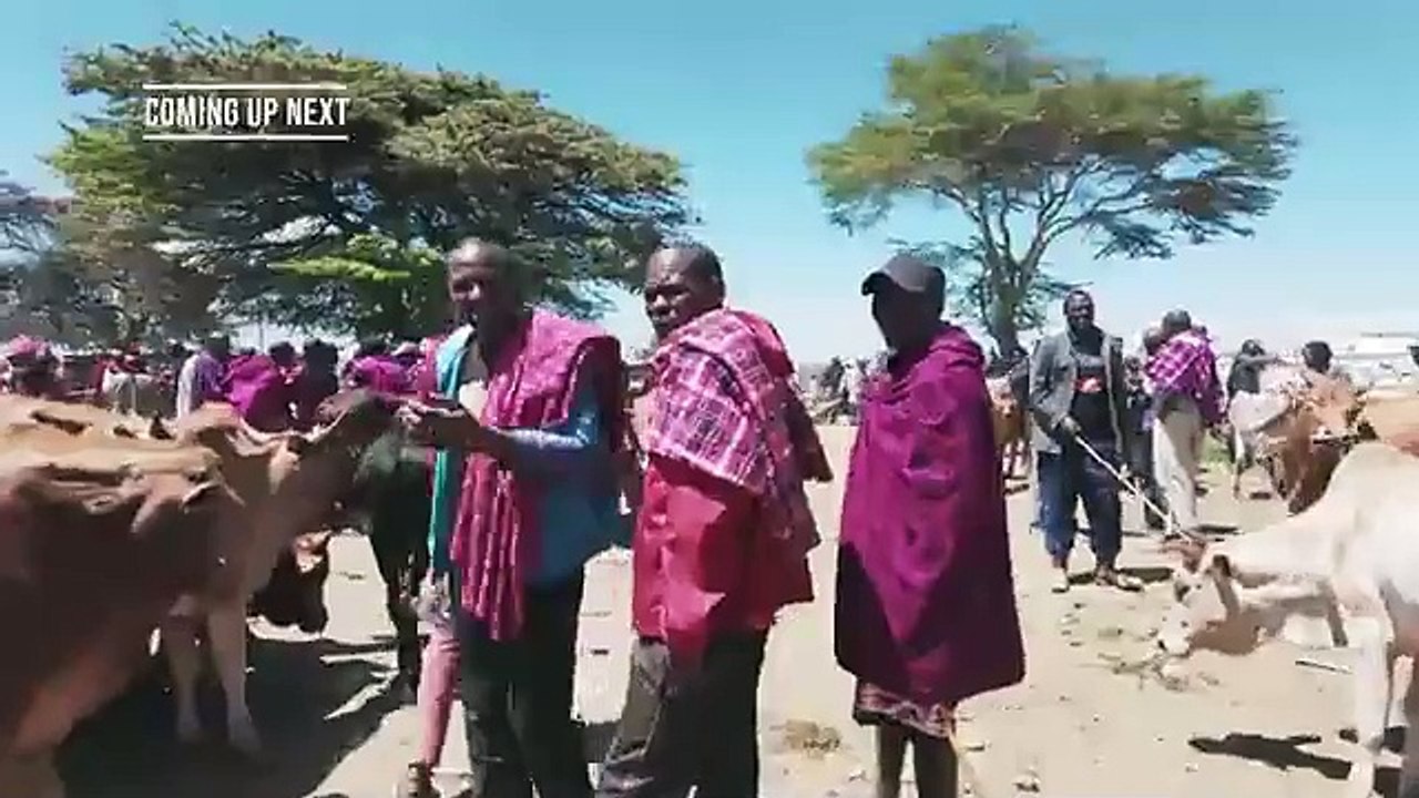 Safari of a Lifetime in Maasai Mara Kenya  S7 EP.26 - Pakistan to South Africa- wildlens by abrar