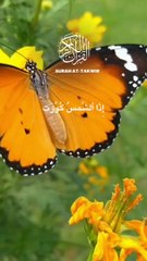 Surah At-Takwir World Most Beauiftul Recitation EP#07