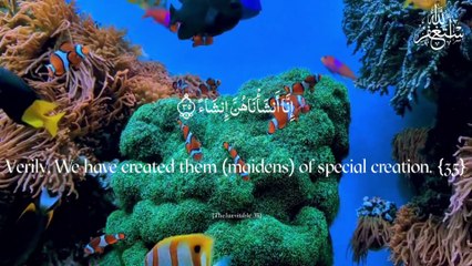 Surah Waqiah Recitation in a Beautiful Voice | Recitation  | peaceful sleep | reduce anxiety | islam