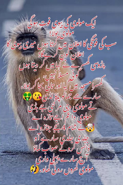 Entertainment For U