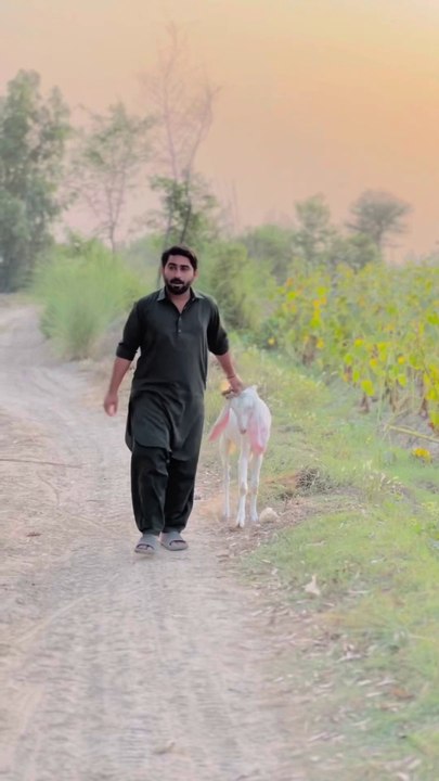 Akhir_Qurbani_Ka_Bakra_Kyun_Becha%F0%9F%A4%94___%E0%A4%86%E0%A4%96%E0%A4%BF%E0%A4%B0_%E0%A4%95%E0%A5%81%E0%A4%B0%E0%A5%8D%E0%A4%AC%E0%A4%BE%E0%A4%A8%E0%A5%80_%E0%A4%95%E0%A4%BE_%E0%A4%AC%E0%A4%95%E0%A4%B0%E0%A4%BE_%E0%A4%95(1080p)